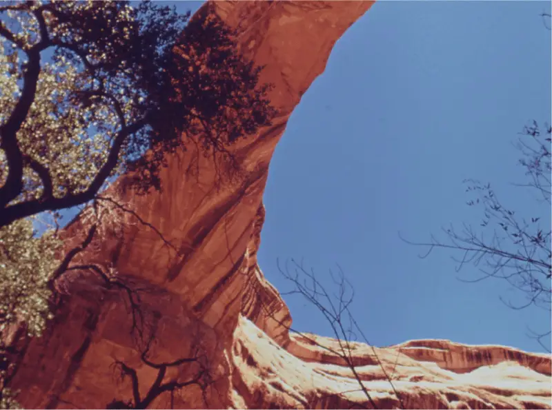 [object Object] image